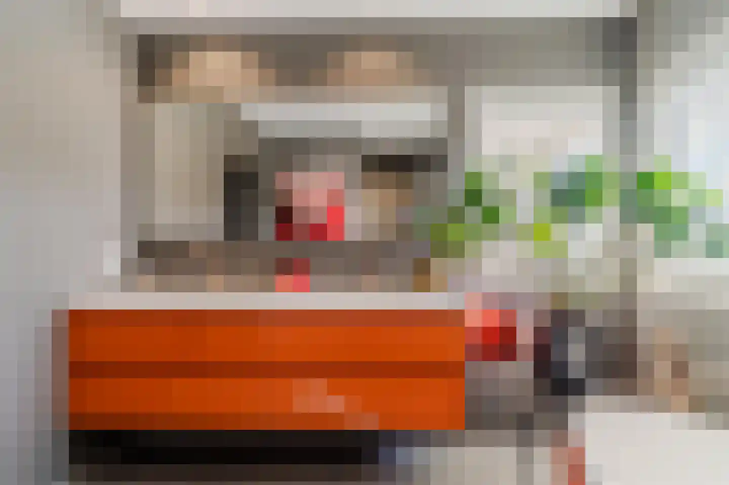 Hoge Dries 10 Veghel thumbnail 41