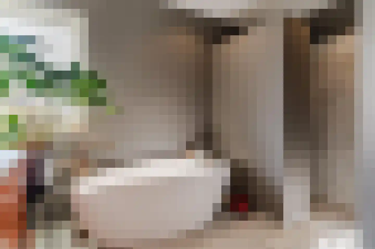 Hoge Dries 10 Veghel thumbnail 42