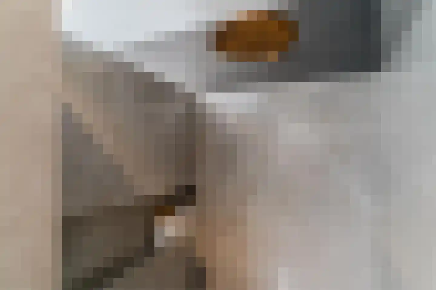 Hoge Dries 10 Veghel thumbnail 43