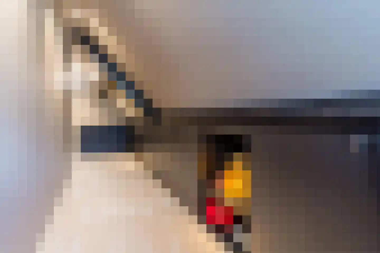 Hoge Dries 10 Veghel thumbnail 46