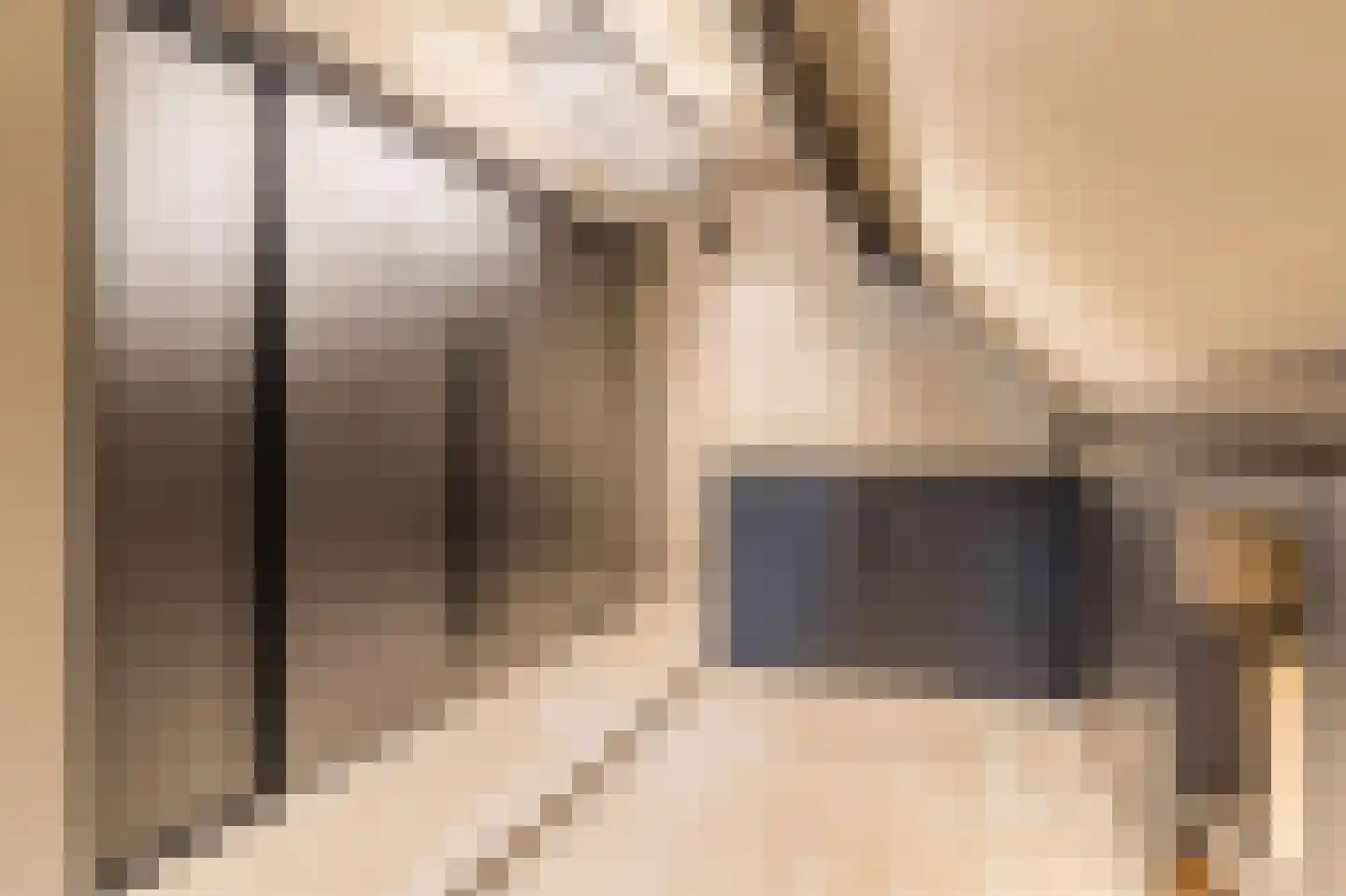 Hoge Dries 10 Veghel thumbnail 47
