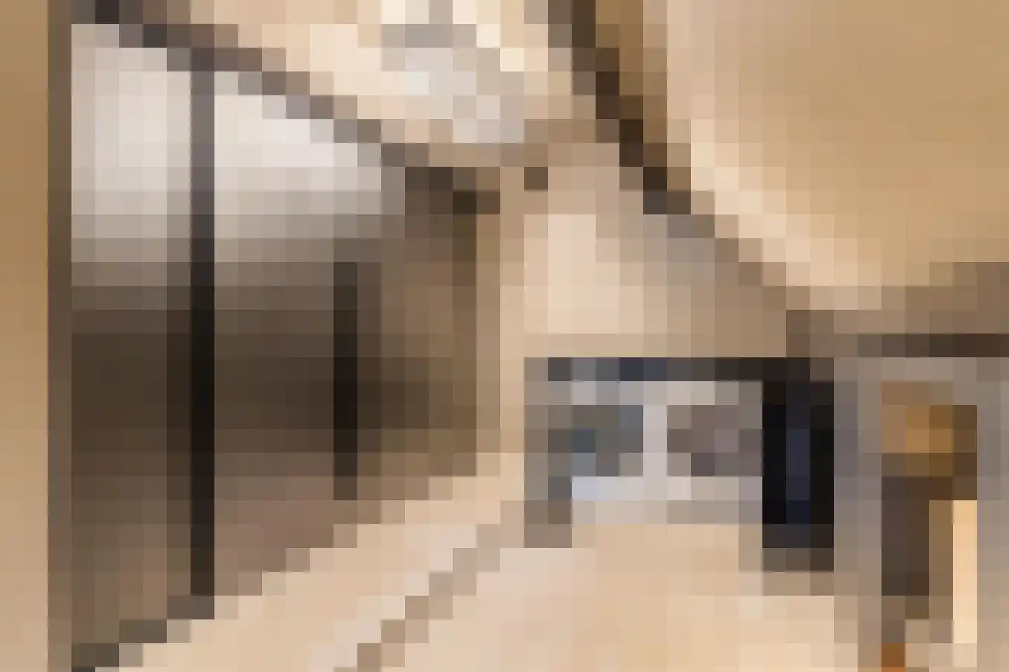 Hoge Dries 10 Veghel thumbnail 48