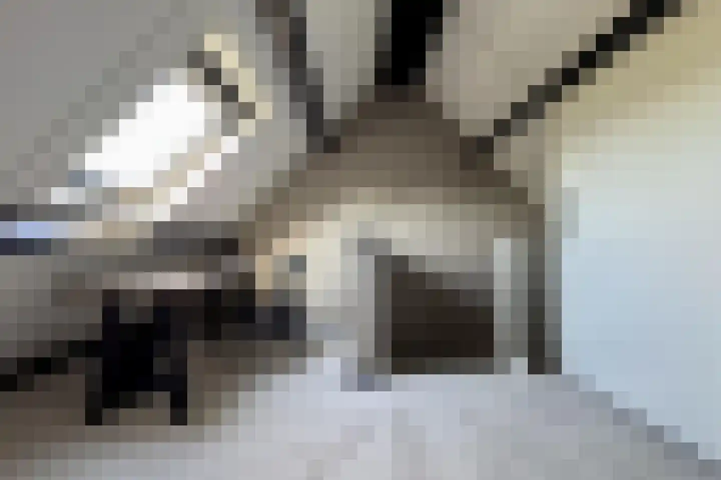 Hoge Dries 10 Veghel thumbnail 71