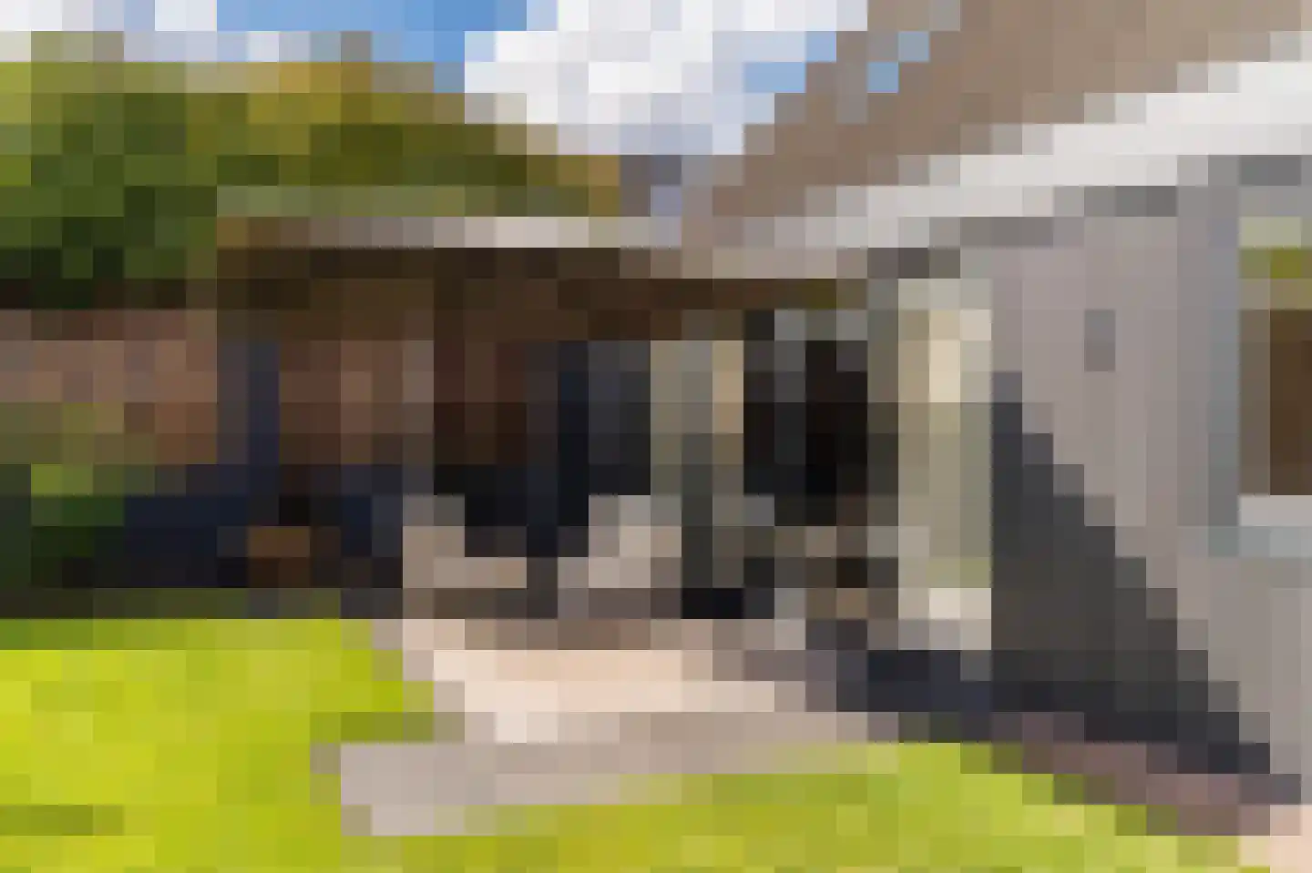 Hoge Dries 10 Veghel thumbnail 73