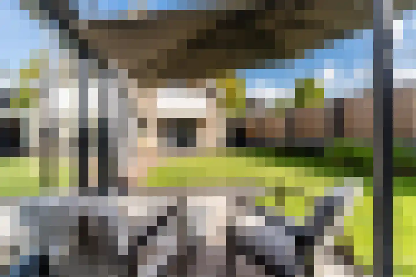 Hoge Dries 10 Veghel thumbnail 74