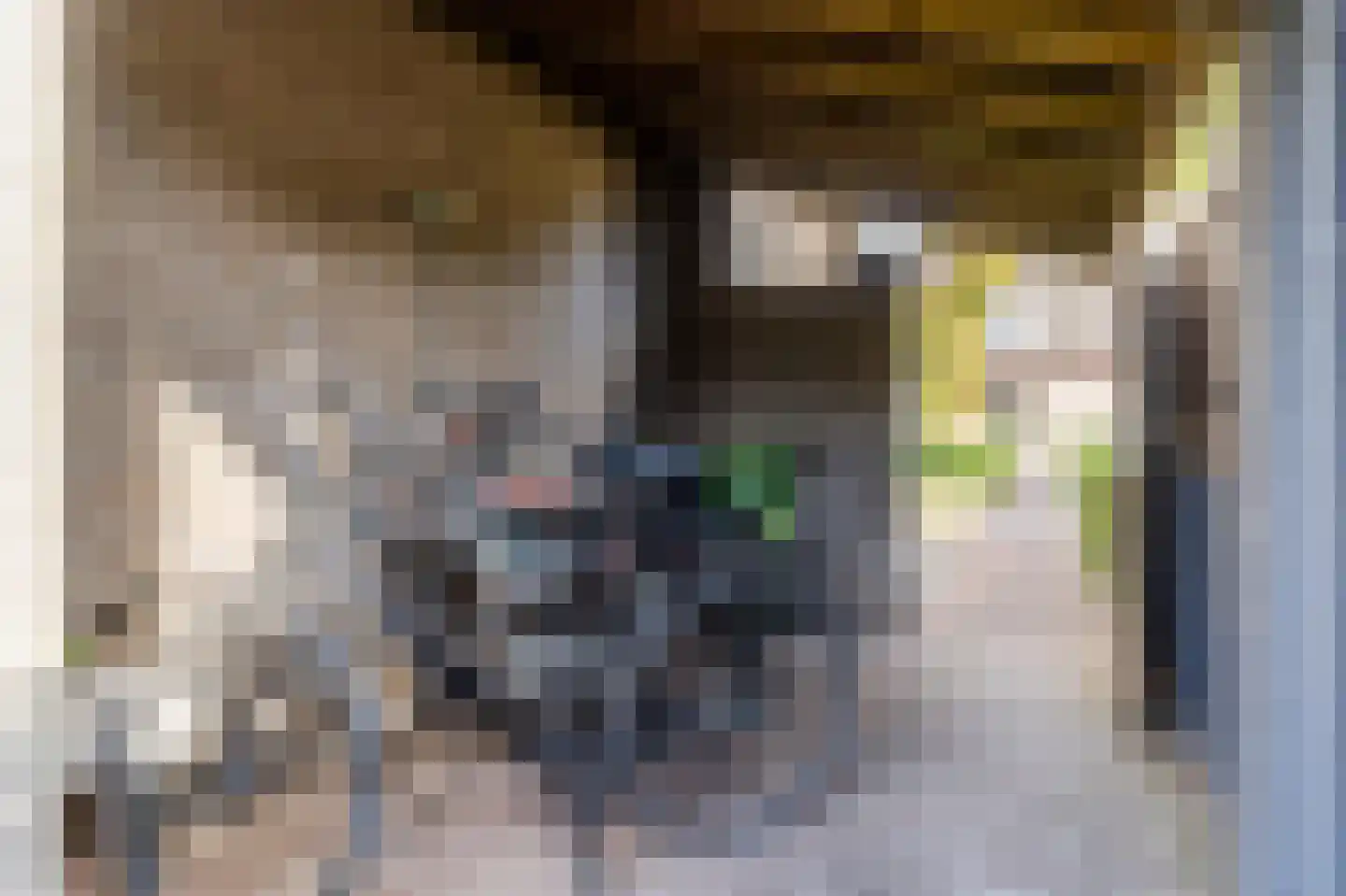 Hoge Dries 10 Veghel thumbnail 77