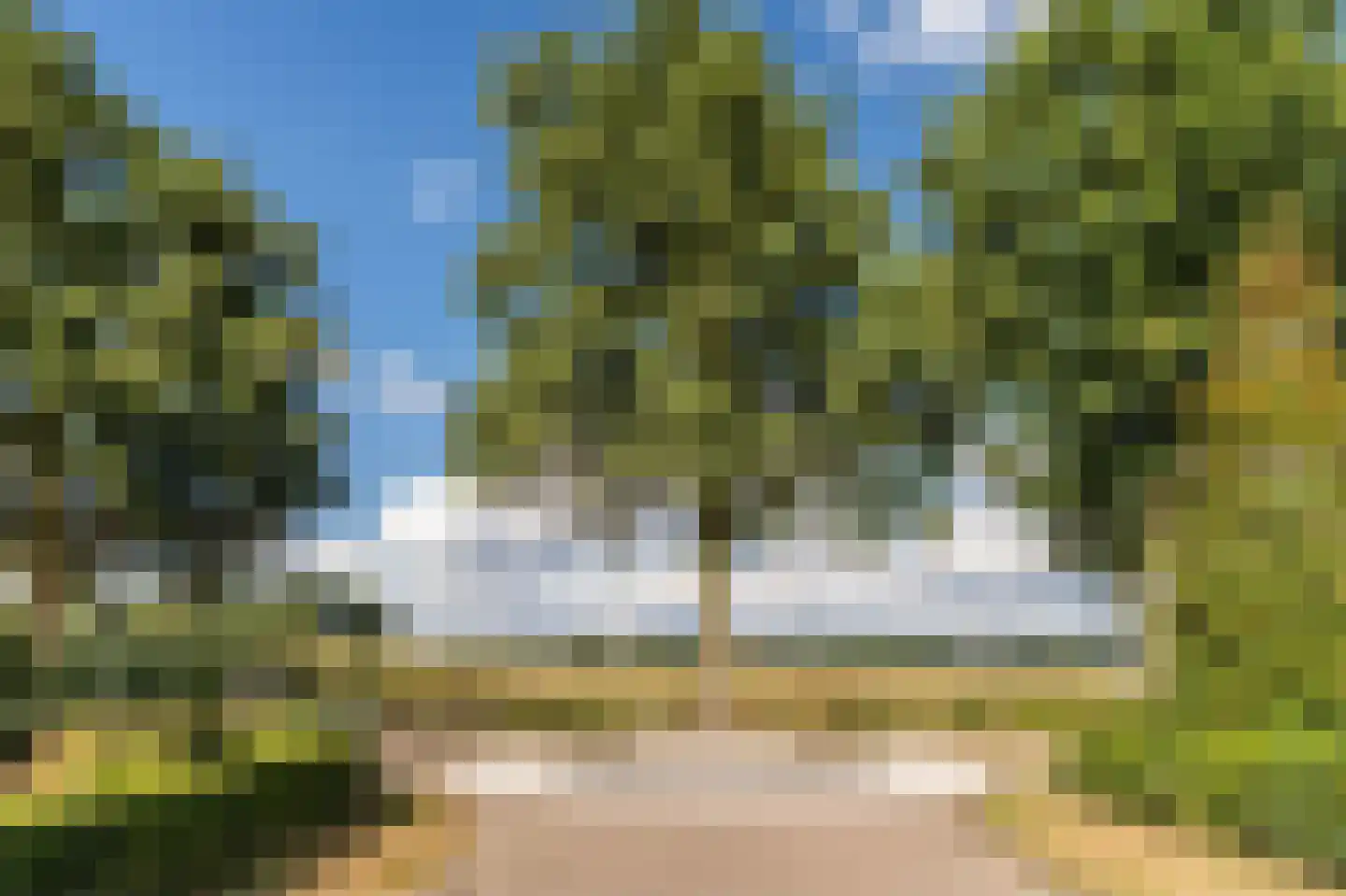 Hoge Dries 10 Veghel thumbnail 79