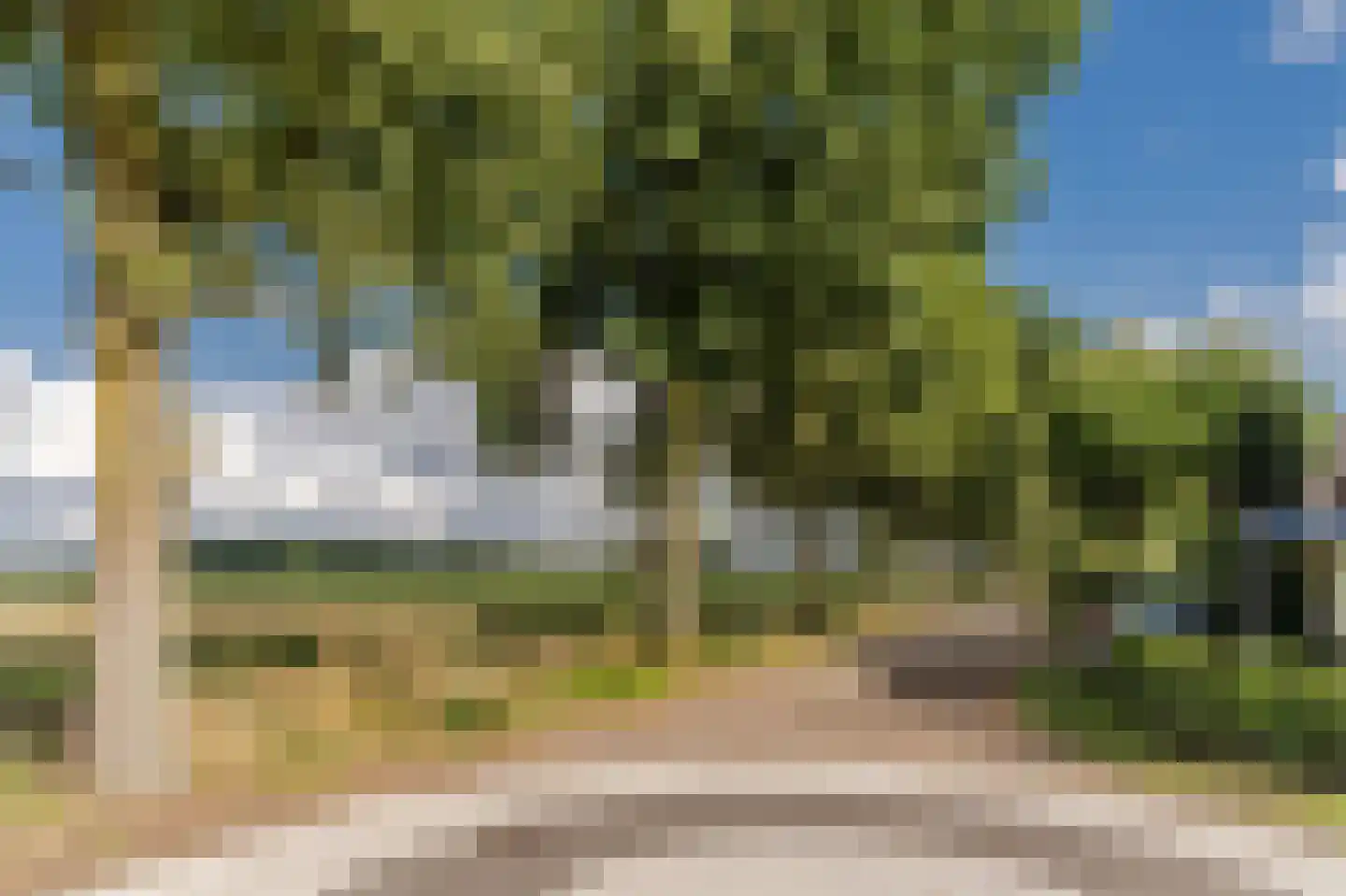 Hoge Dries 10 Veghel thumbnail 80