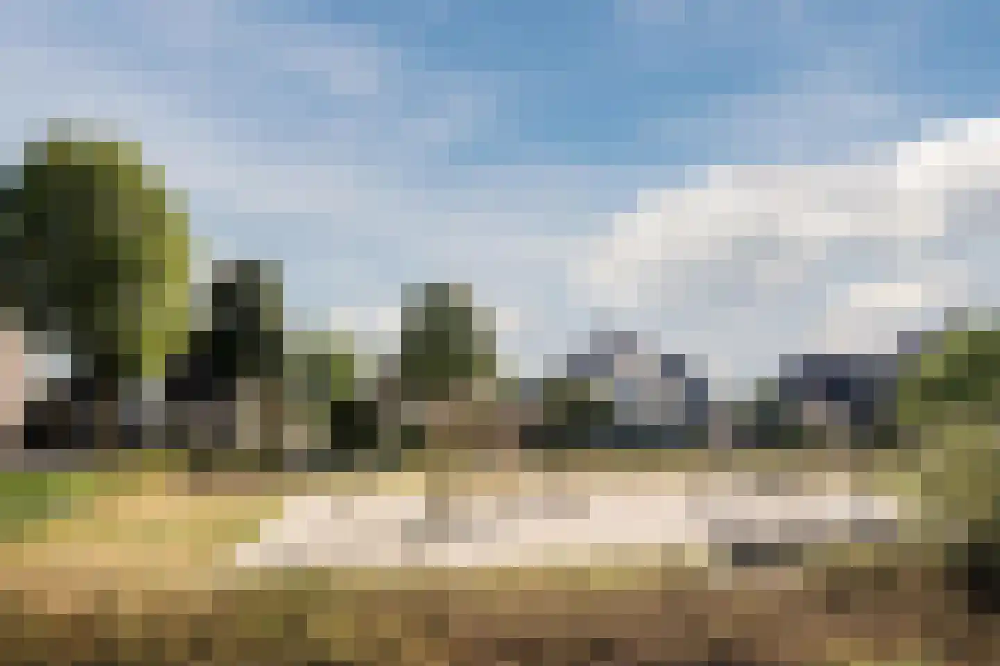 Hoge Dries 10 Veghel thumbnail 81