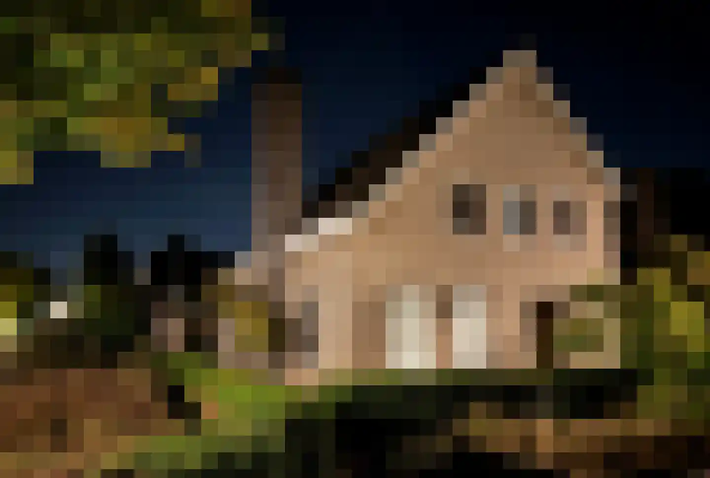 Hoge Dries 10 Veghel thumbnail 83
