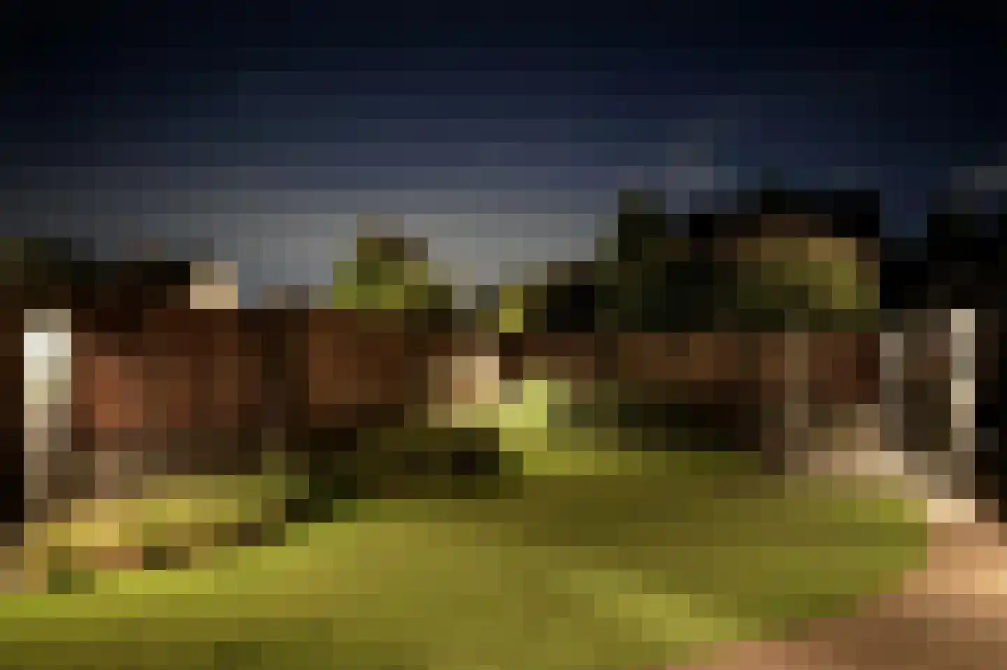 Hoge Dries 10 Veghel thumbnail 84