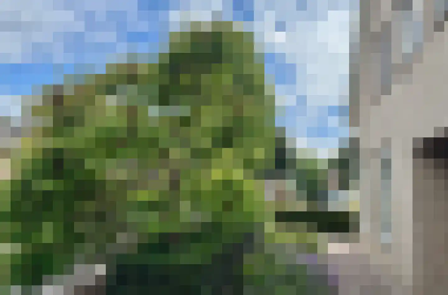 Hoge Dries 10 Veghel thumbnail 9