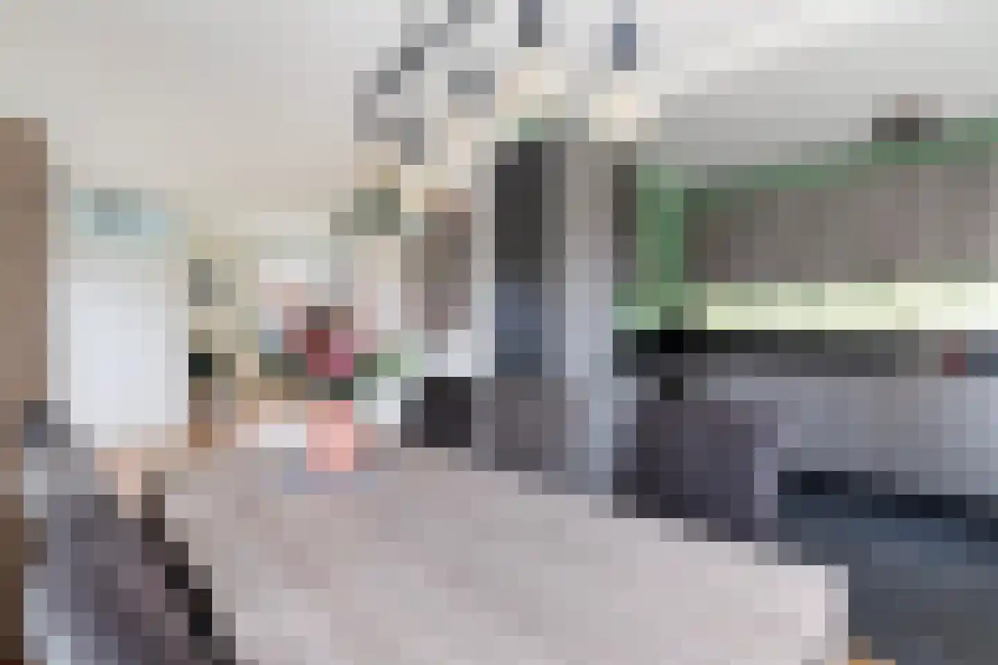 Hoge Dries 12 Apeldoorn thumbnail 14