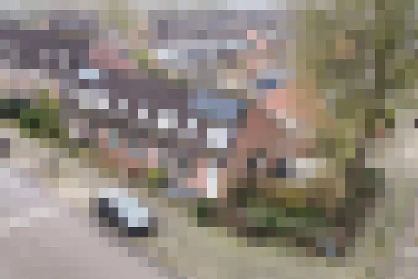 Hoge Dries 12 Apeldoorn thumbnail 30