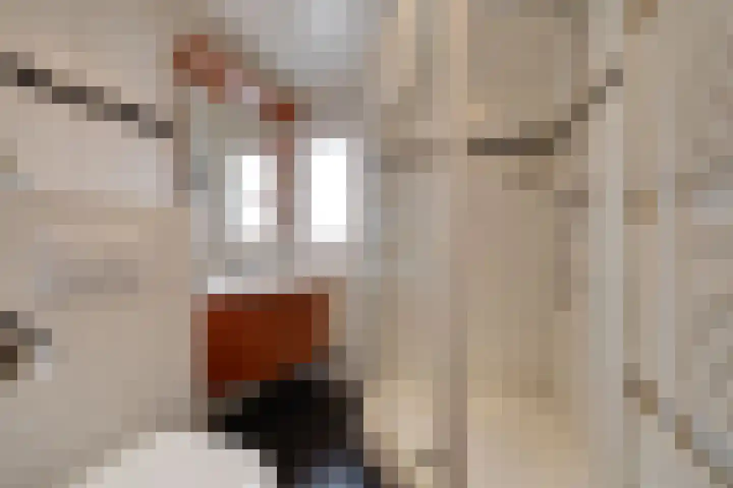 Hoge Dries 14 Apeldoorn thumbnail 22