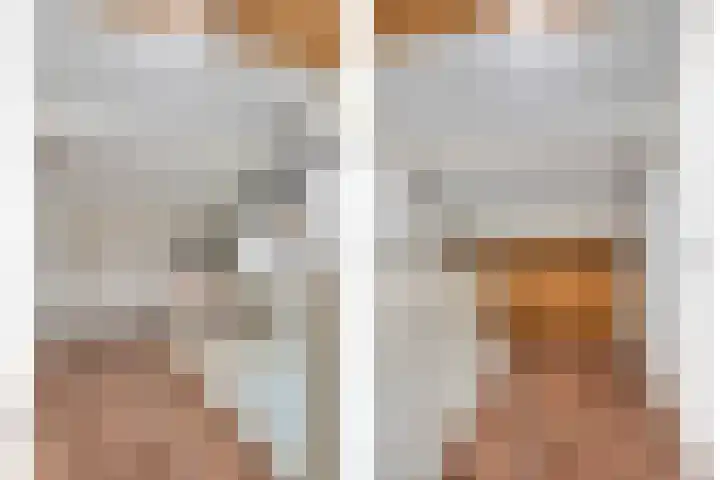 Hoge Dries 263 Apeldoorn thumbnail 16