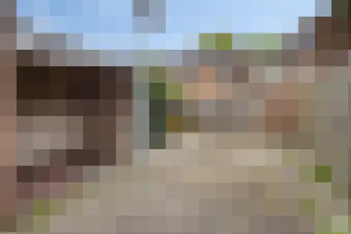 Hoge Dries 263 Apeldoorn thumbnail 18