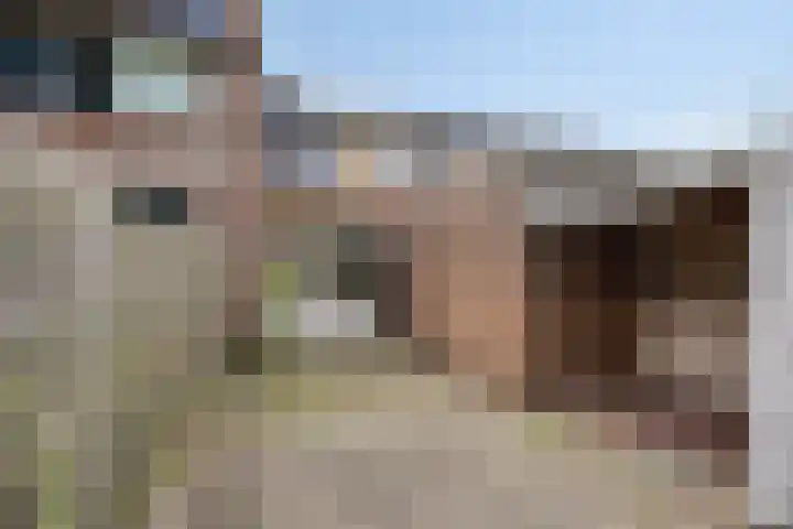Hoge Dries 263 Apeldoorn thumbnail 19