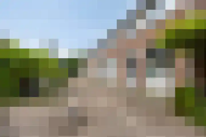 Hoge Dries 263 Apeldoorn thumbnail 22