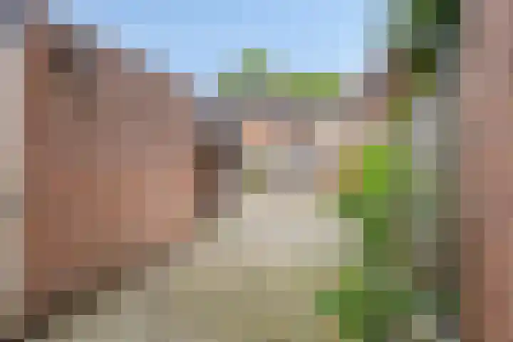 Hoge Dries 263 Apeldoorn thumbnail 4