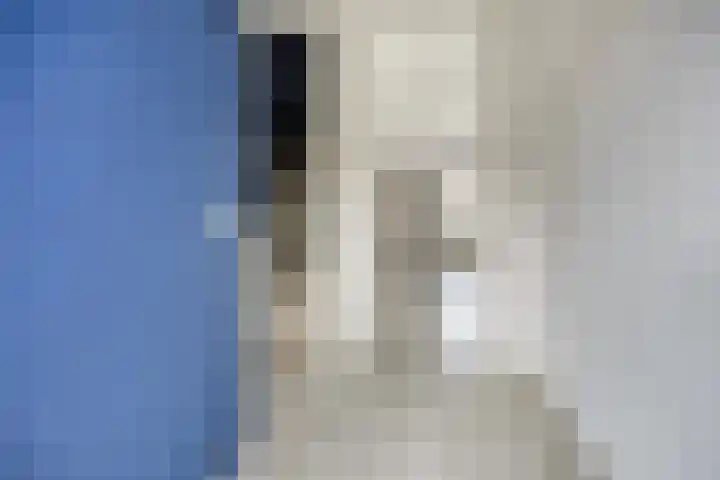 Hoge Dries 263 Apeldoorn thumbnail 6