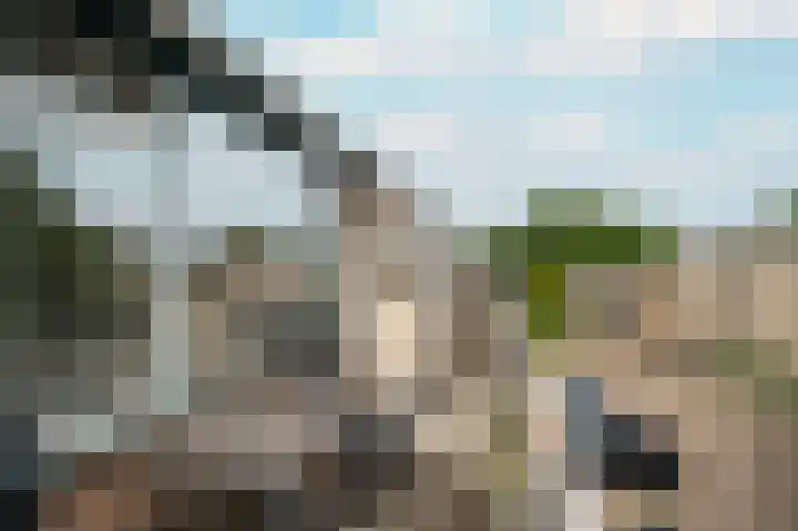 Hoge Dries 343 Apeldoorn thumbnail 10