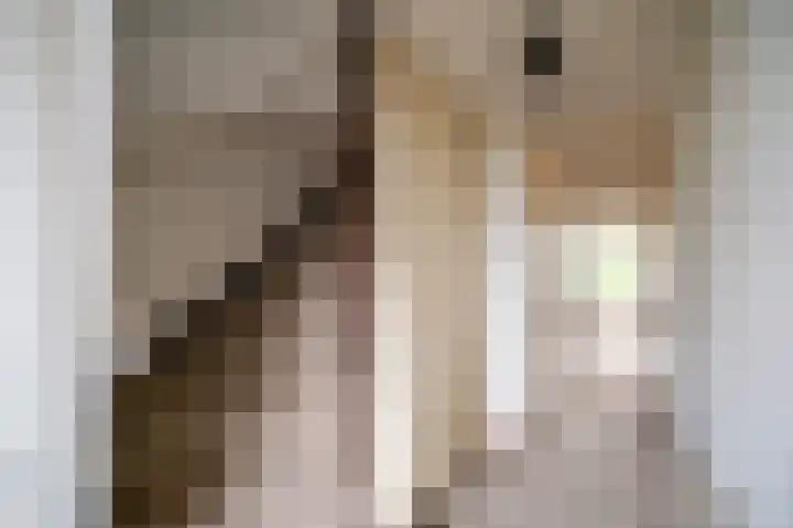 Hoge Dries 343 Apeldoorn thumbnail 11