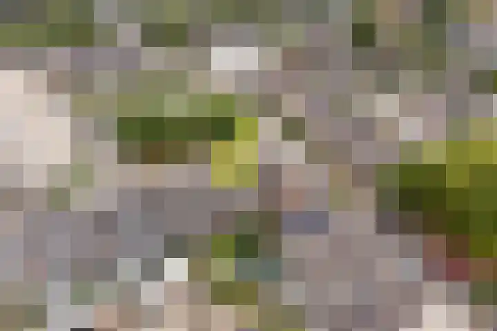 Hoge Dries 343 Apeldoorn thumbnail 28