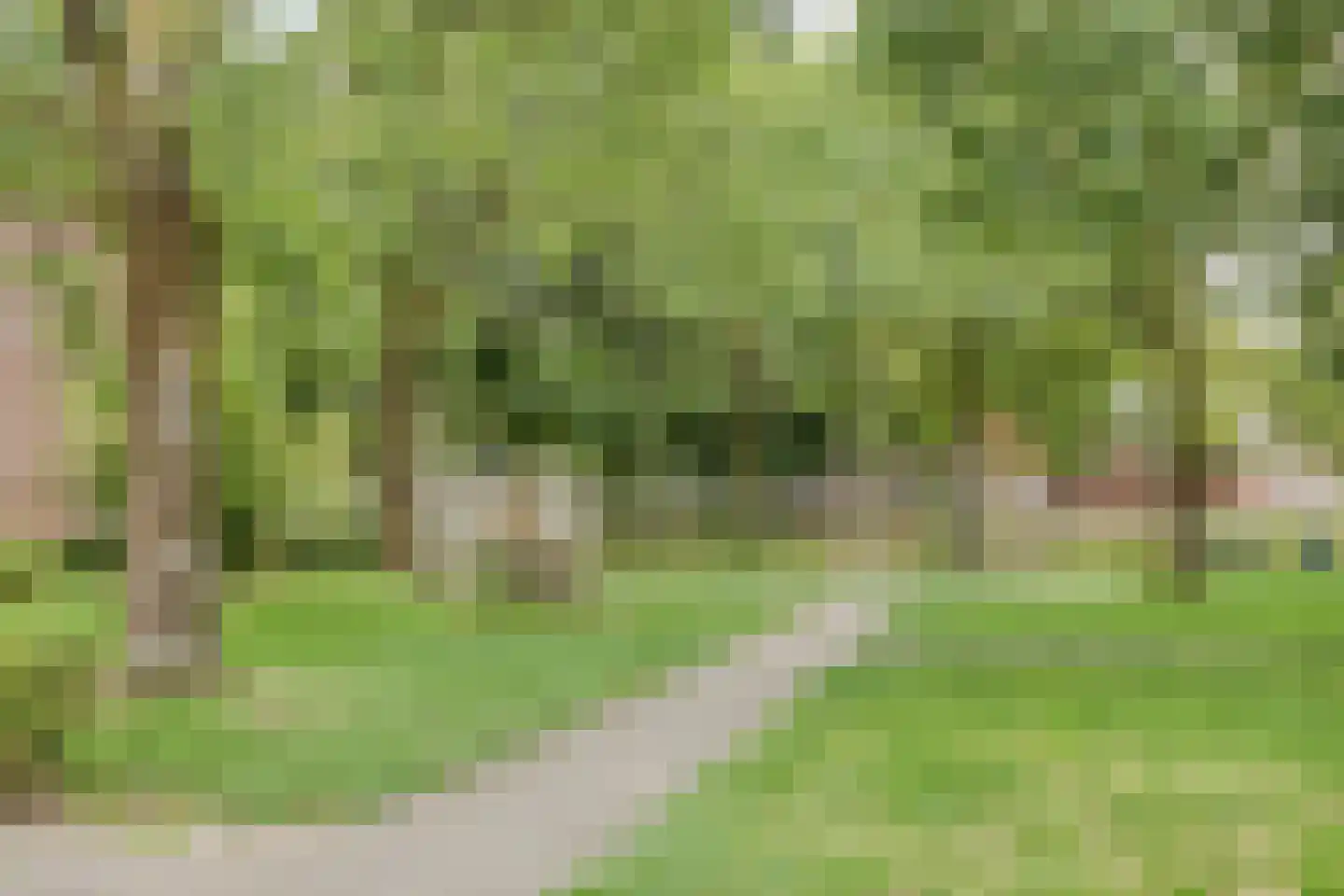 Hoge Dries 345 Apeldoorn thumbnail 28
