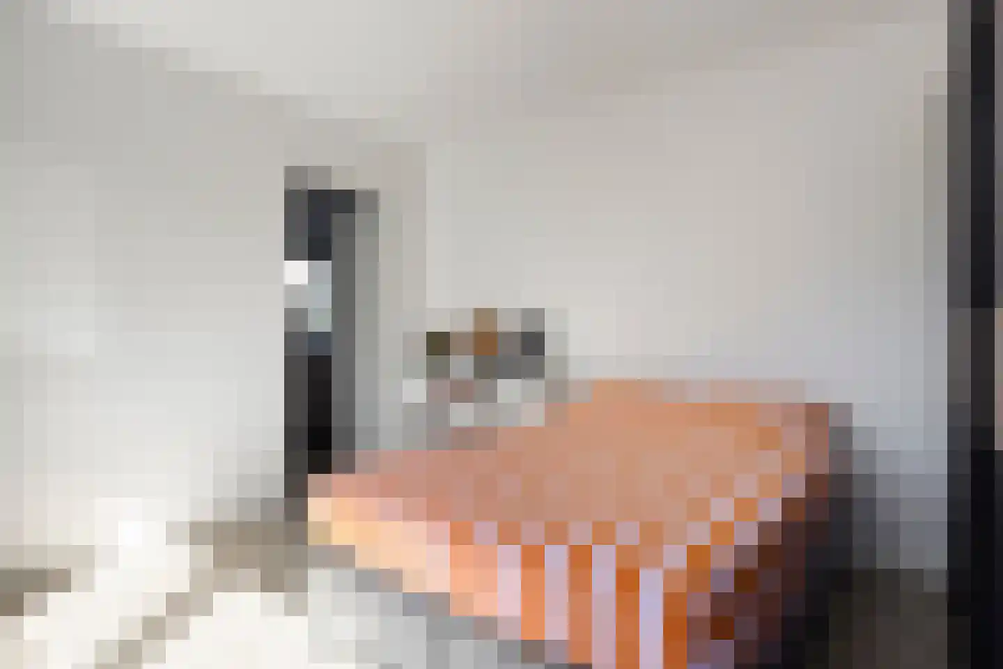 Hoge Dries 417 Apeldoorn thumbnail 13