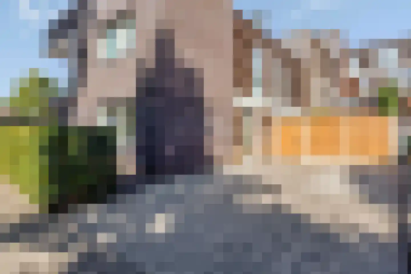 Hoge Dries 417 Apeldoorn thumbnail 4