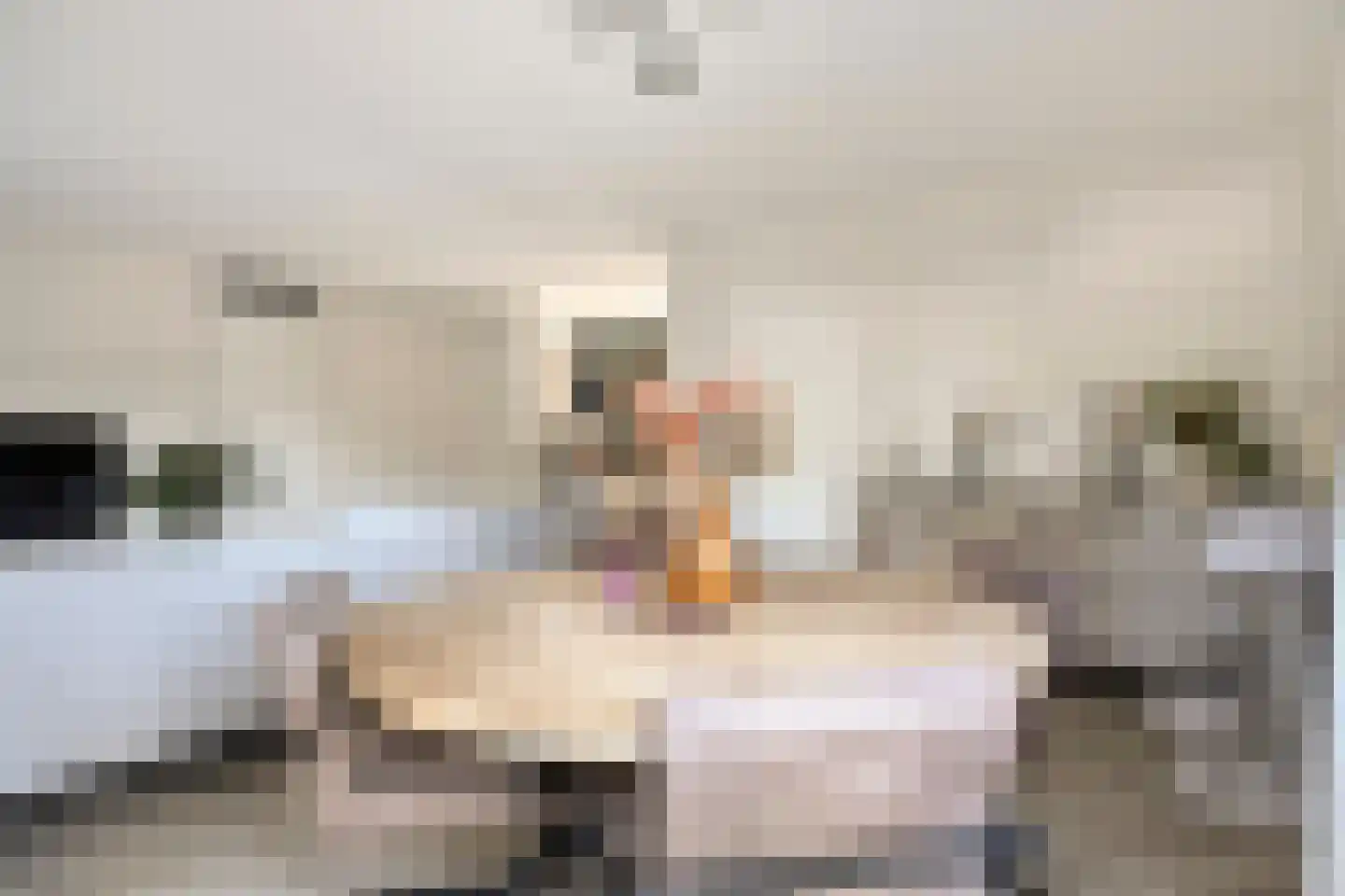 Hoge Dries 417 Apeldoorn thumbnail 8