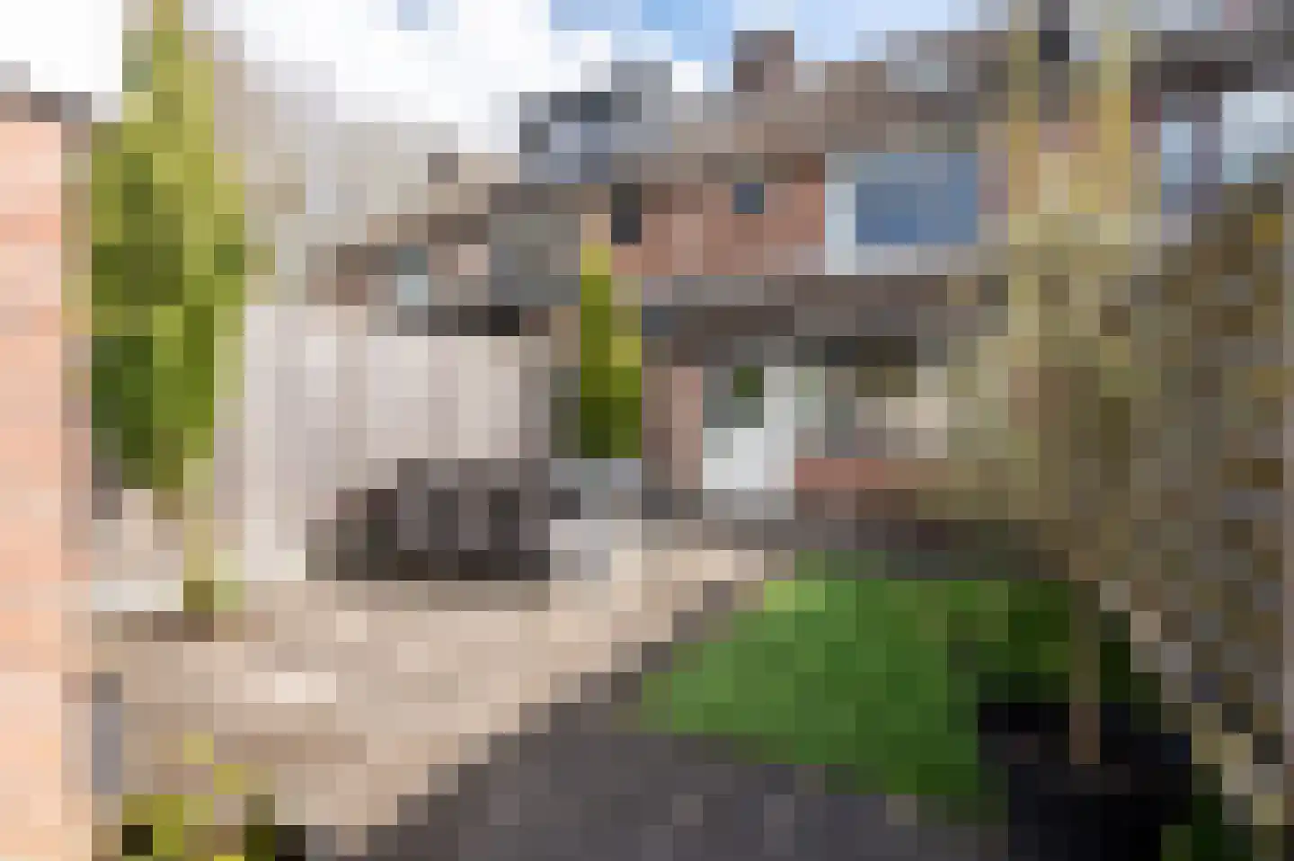 Hoge Dries 46 Apeldoorn thumbnail 25