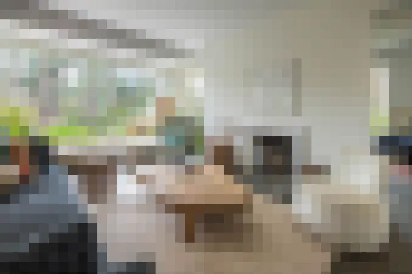 Hoge Duin en Daalseweg 18 Bloemendaal thumbnail 12