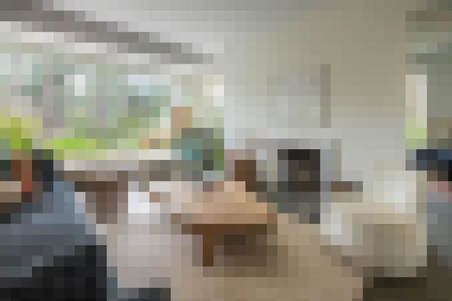 Hoge Duin en Daalseweg 18 Bloemendaal thumbnail 13
