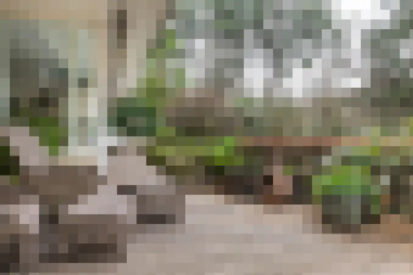 Hoge Duin en Daalseweg 18 Bloemendaal thumbnail 28