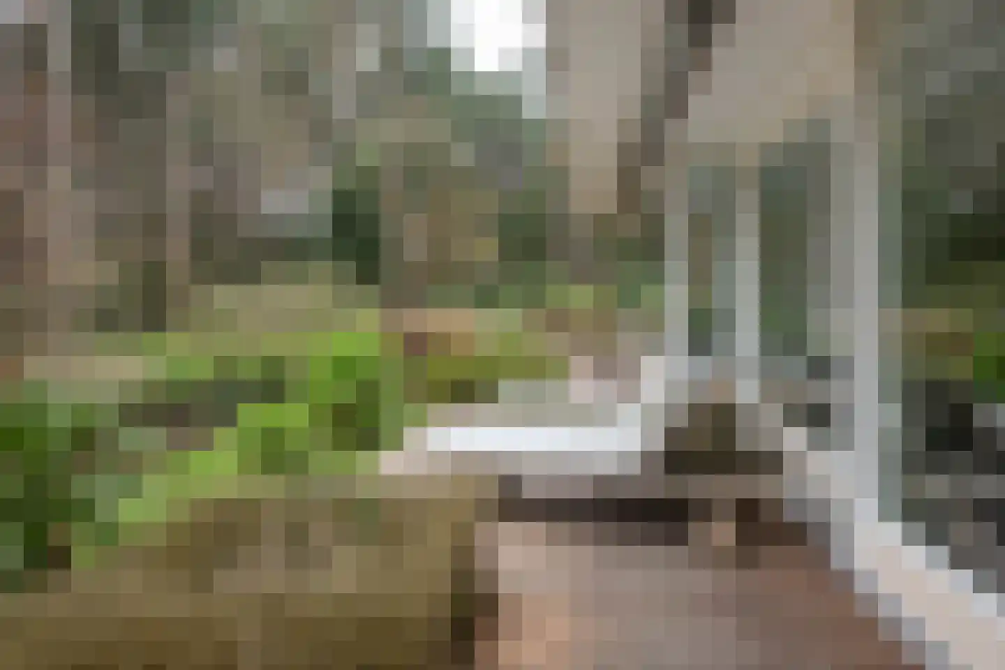 Hoge Duin en Daalseweg 18 Bloemendaal thumbnail 29