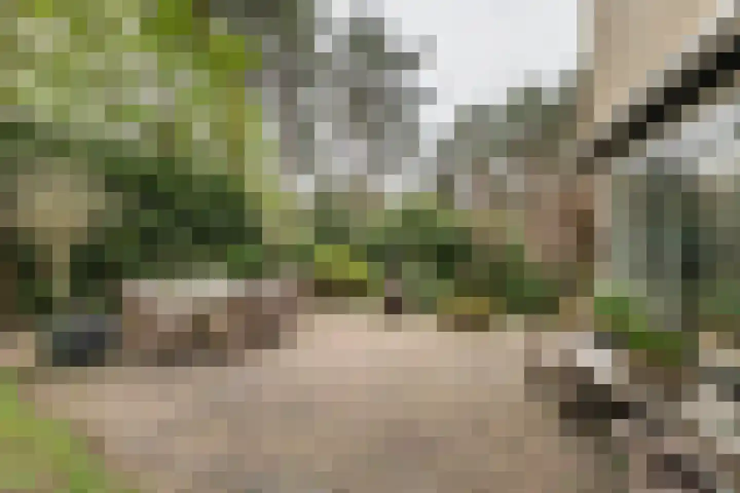 Hoge Duin en Daalseweg 18 Bloemendaal thumbnail 30