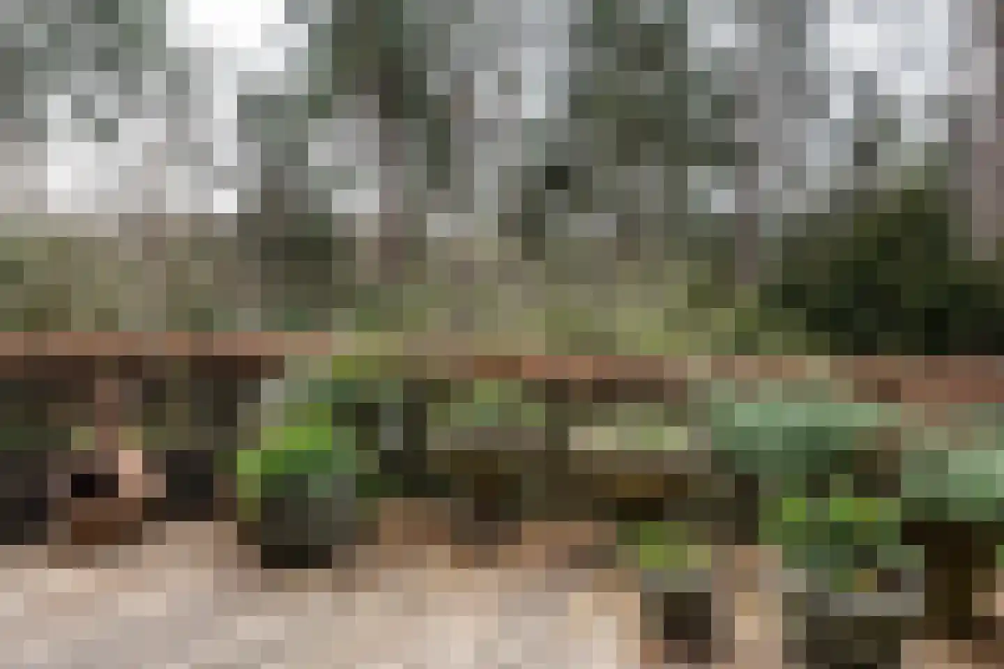 Hoge Duin en Daalseweg 18 Bloemendaal thumbnail 31