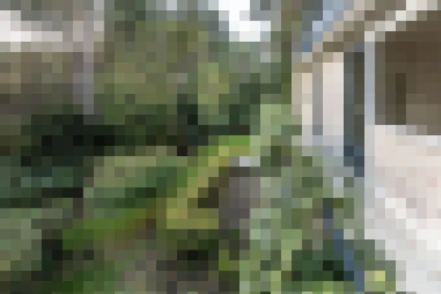 Hoge Duin en Daalseweg 18 Bloemendaal thumbnail 33