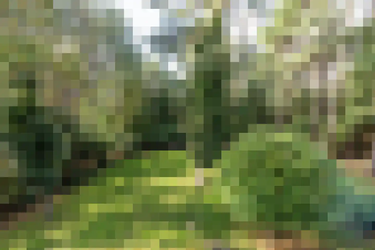 Hoge Duin en Daalseweg 18 Bloemendaal thumbnail 4