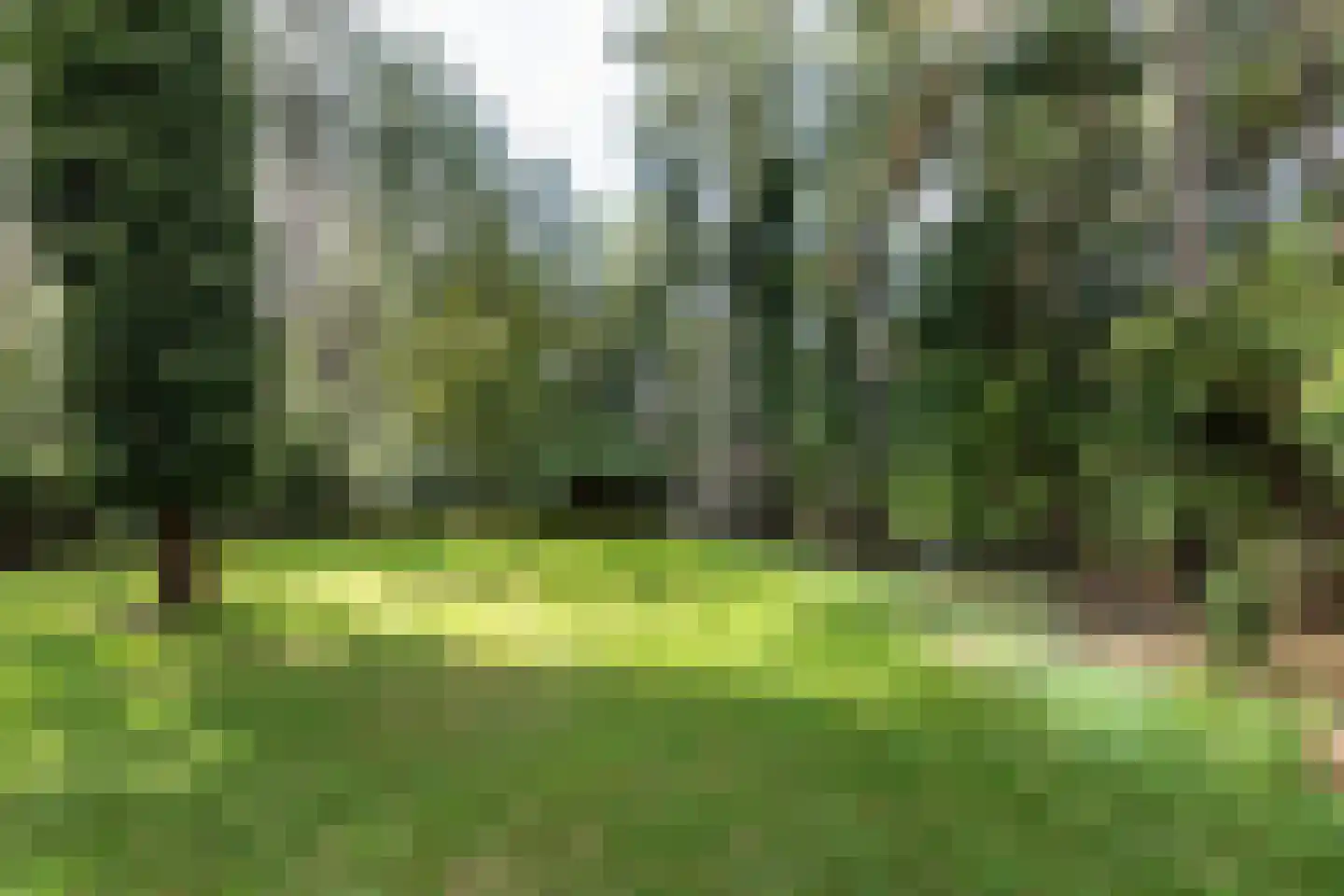 Hoge Duin en Daalseweg 18 Bloemendaal thumbnail 5