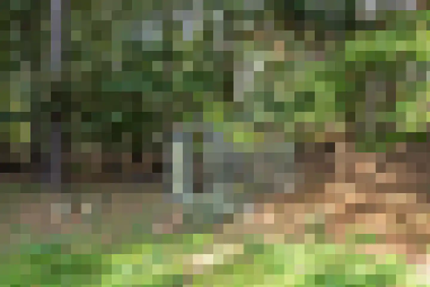 Hoge Duin en Daalseweg 18 Bloemendaal thumbnail 52