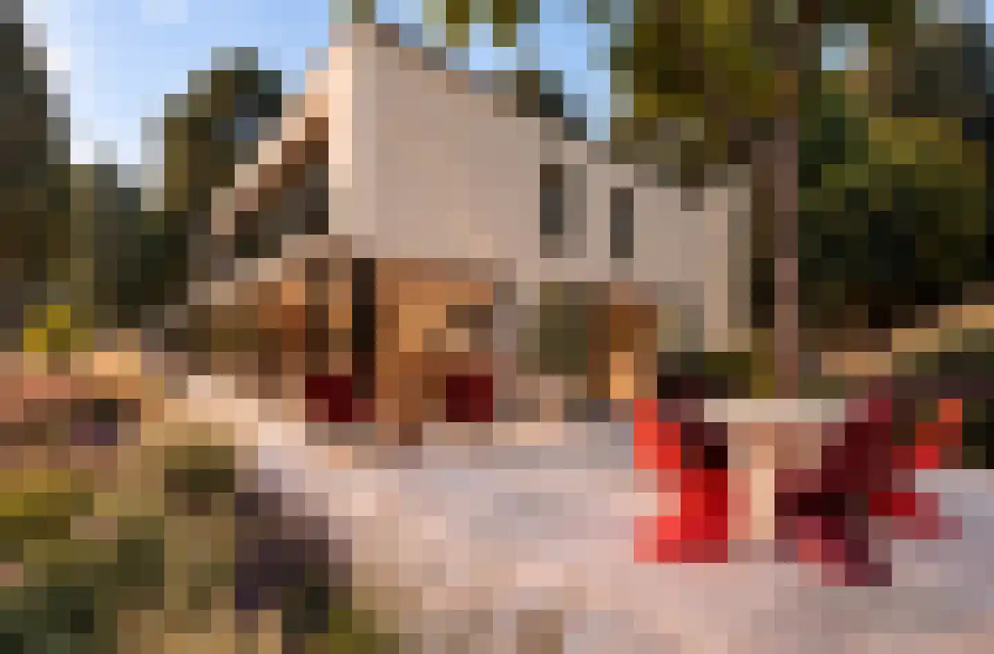 Hoge Duin en Daalseweg 18 Bloemendaal thumbnail 52