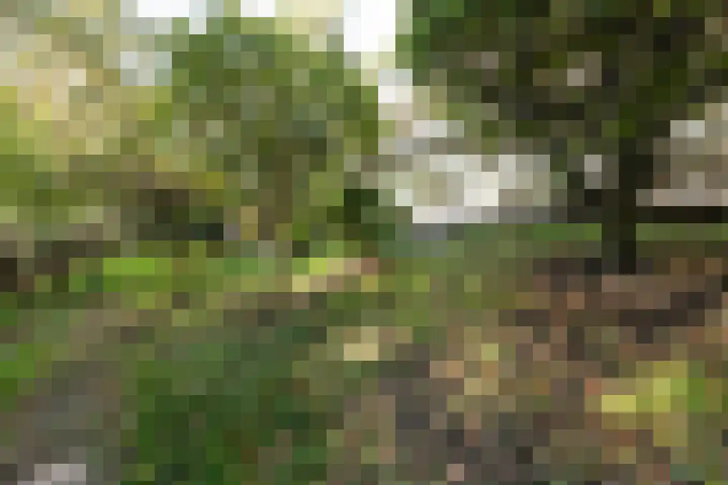 Hoge Duin en Daalseweg 18 Bloemendaal thumbnail 6