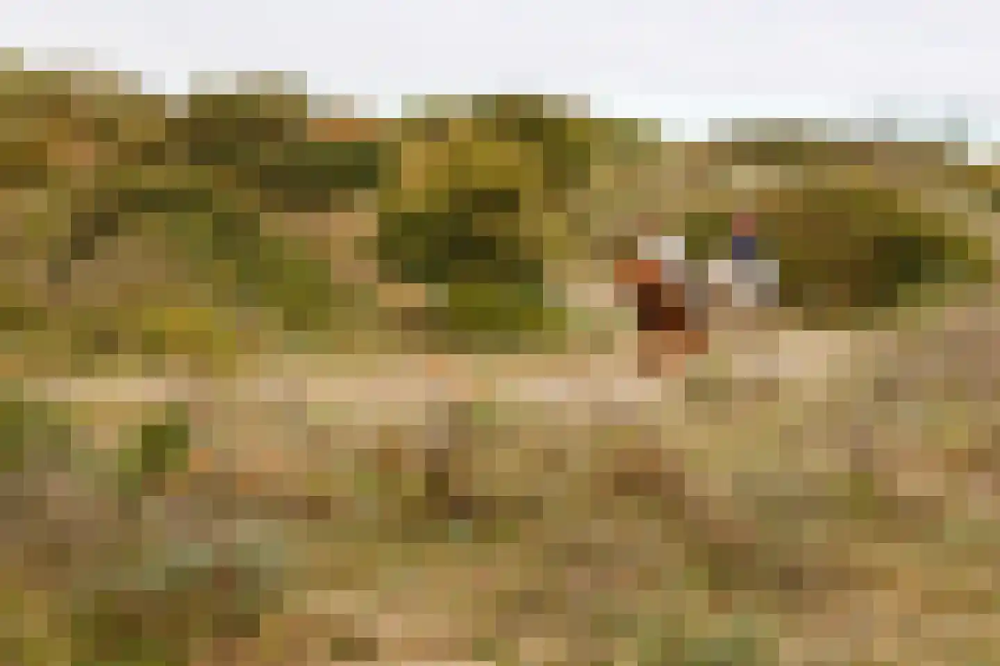 Hoge Duin en Daalseweg 18 Bloemendaal thumbnail 61