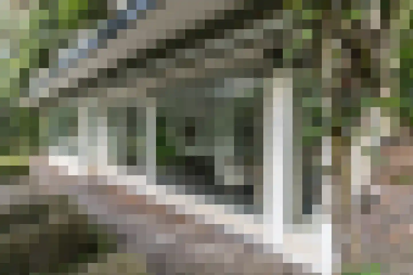 Hoge Duin en Daalseweg 18 Bloemendaal thumbnail 7