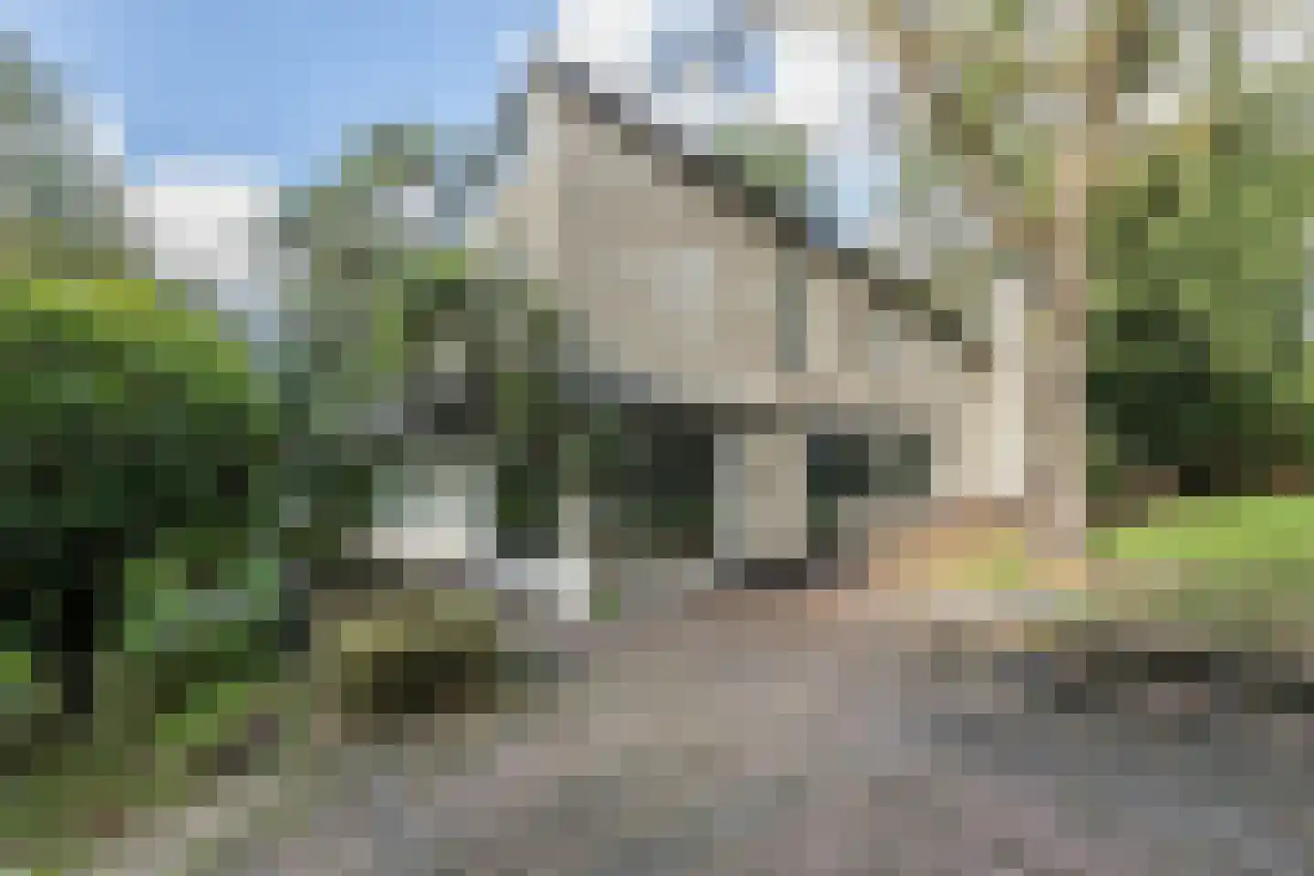 Hoge Duin en Daalseweg 18 Bloemendaal thumbnail 8