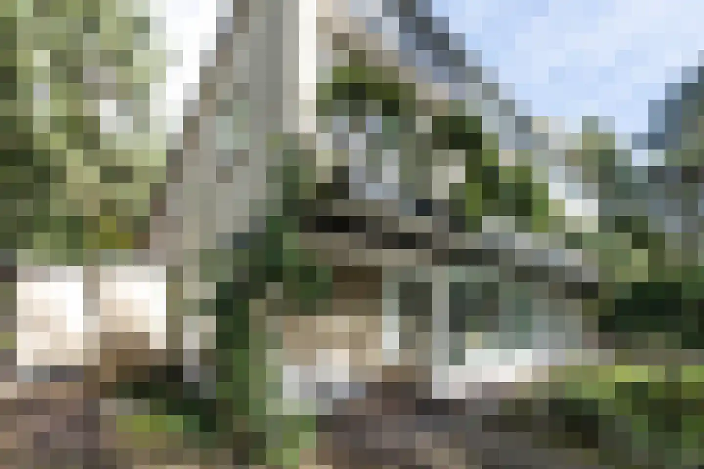 Hoge Duin en Daalseweg 18 Bloemendaal thumbnail 9