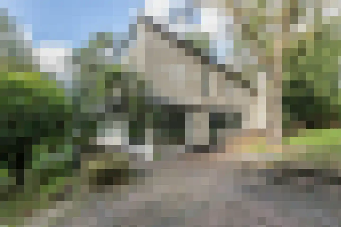 Hoge Duin en Daalseweg 18 Bloemendaal thumbnail 9